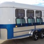 White 2 Horse Float with Horse Trailer Ramp Living Quarters and Roof for Sale